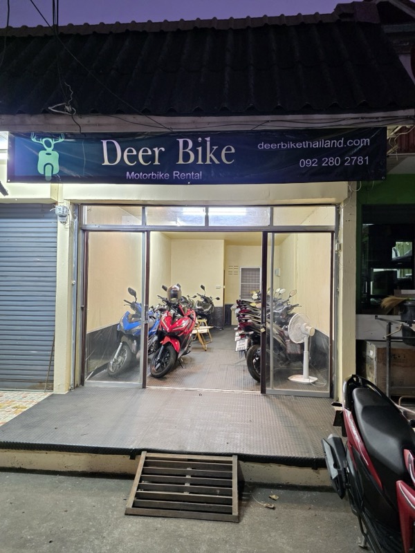Deer Bike shop front in Chiang Mai